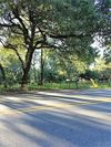 1026 E Johnson Ave photo